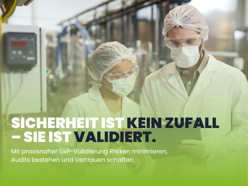 Software-Testen: Der Unsichtbare Held Der Digitalen Welt